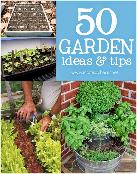 50 Gardening Ideas & Tips - DIY Craft Projects