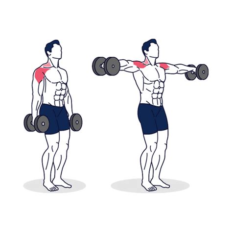 How To: Dumbbell Lateral Raise - Benefits & Exercise for Shoulders ...