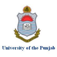 Stenographer Jobs in Punjab University Lahore | Governmnt and Private Sector Employees News