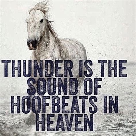 Best Thunder Quotes | Thunder Pictures Quotes