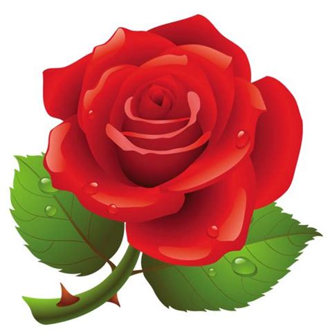 Red Rose Clipart | Fiori