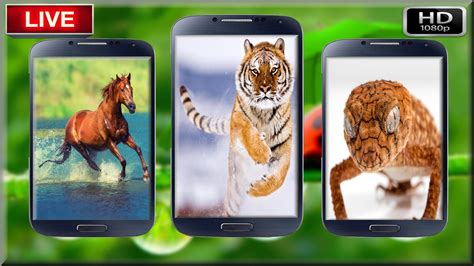 Animals Live Wallpapers APK for Android Download