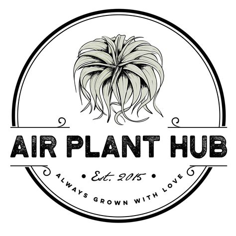 Air Plant Hub