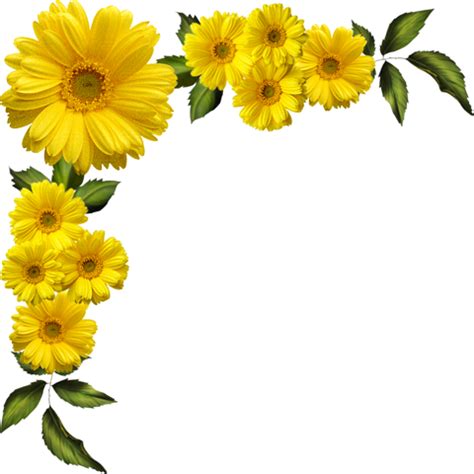 Yellow daisies clipart 20 free Cliparts | Download images on Clipground 2024