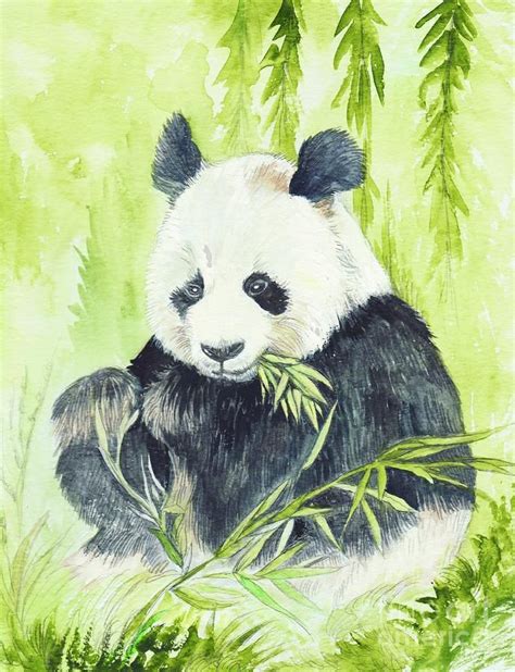 Morgan Fitzsimons WATERCOLOR | Panda painting, Panda art, Animal art