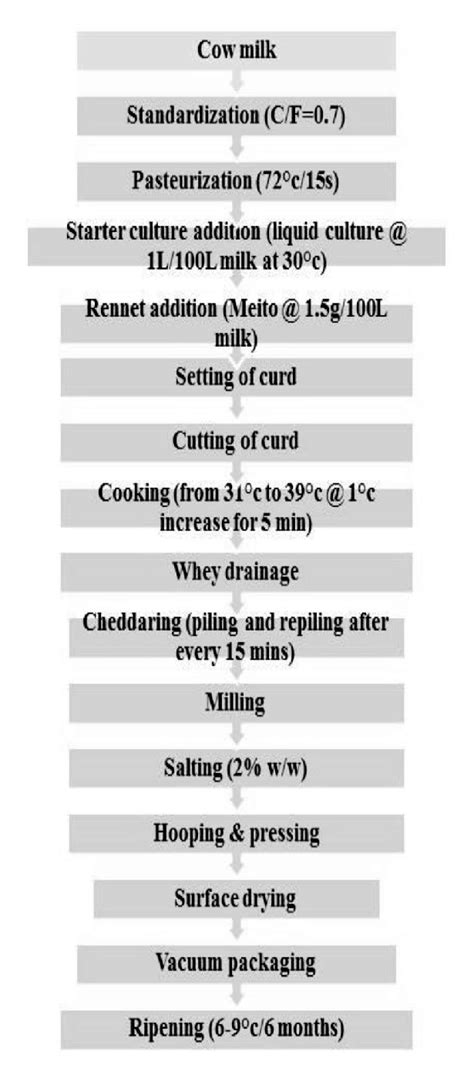 Flow diagram of Cheddar Cheese Manufacturing | Download Scientific Diagram