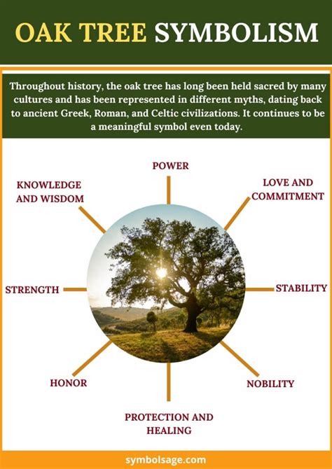 The Timeless Oak: Symbolism and Significance Through the Ages - Symbol Sage