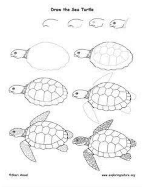 Pin by Lisamurray on Easy Acrylic Painting | Turtle drawing, Sea turtle drawing, Turtle painting