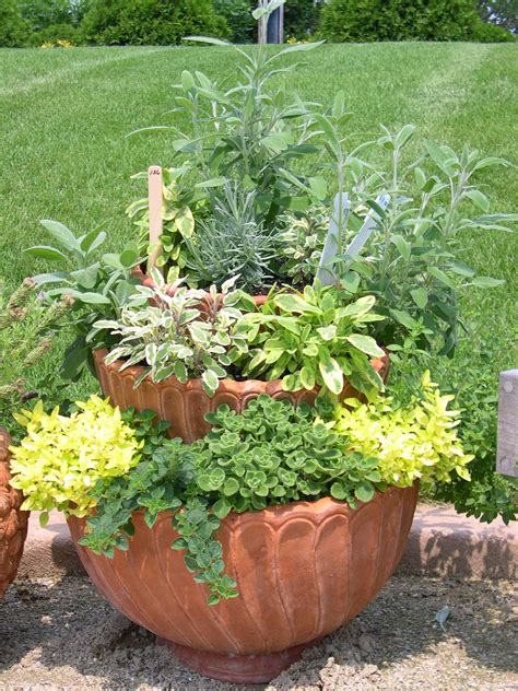 Ready, Set, Grow: Veggies in Containers - Boulder County ExtensionBoulder County Extension