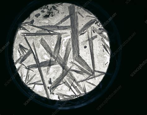 Potassium nitrate crystals - Stock Image - A710/0034 - Science Photo Library