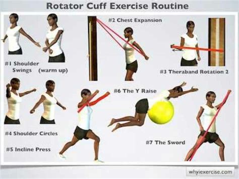 Rotator cuff exercises, Shoulder rehab exercises, Rotator cuff