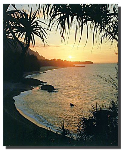 Tropical Sunset Poster | Nature Posters | Sunset Posters