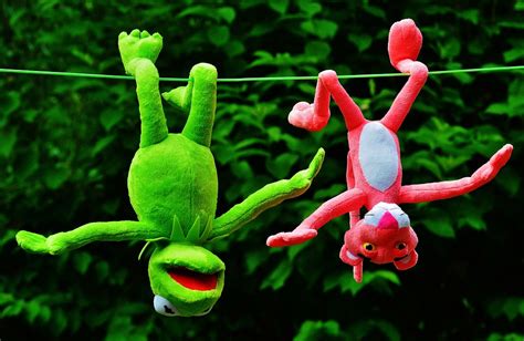 Hang Out Plush Toys Kermit The - Free photo on Pixabay - Pixabay