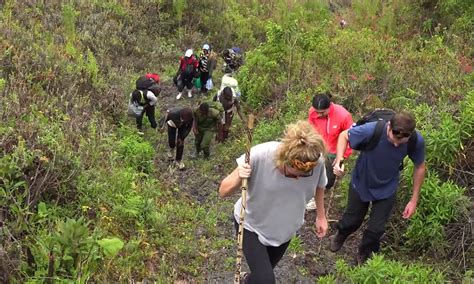 Mountain Hiking in Volcanoes National Park - Fruits of Hope Adventure ...