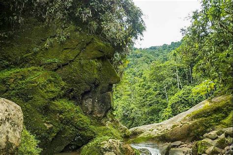 Face of Harakbut – the ancient guardian of the forgotten city of El ...