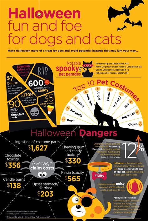 Safety Tips #Halloween #Pets #Costumes #DressedUpPets | Halloween pet safety, Halloween safety ...