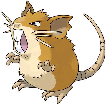 Raticate Pokédex: stats, moves, evolution & locations | Pokémon Database