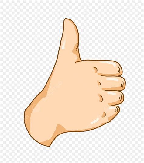 Thumbs Up PNG Transparent, Thumb Up, Thumb Clipart, Finger, Action PNG ...