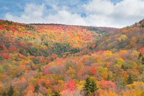 Fall Foliage in the Mountains of West Virginia Stock Photo - Image of ...