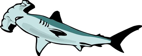 cartoon hammerhead shark clipart