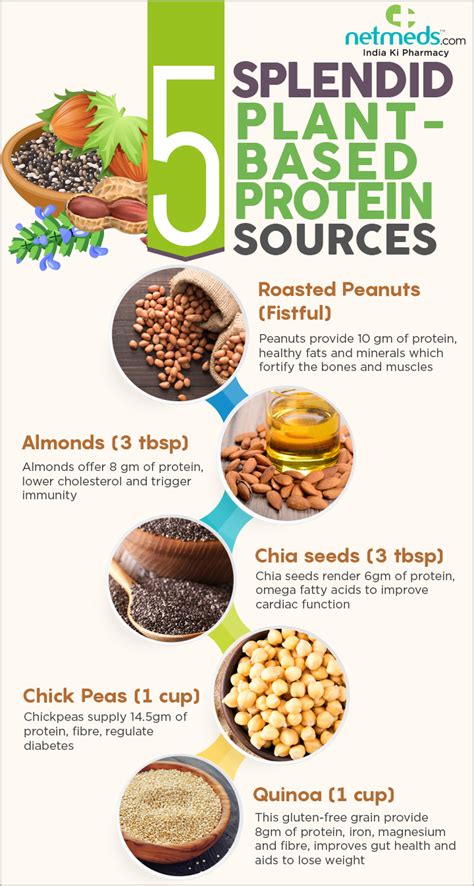 5 Marvelous Plant -Based Protein Sources For Overall Health- Infographic