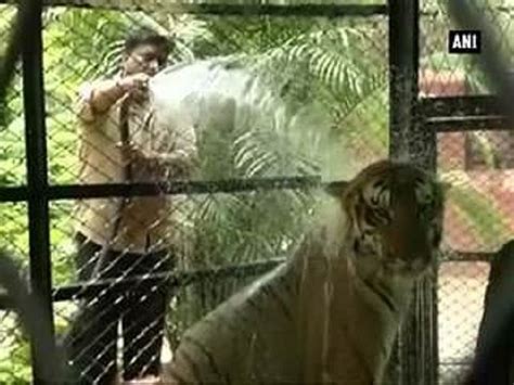 Hyderabad Zoo Authorities Help Animals Escape Hot Weather - गर्मी से ...