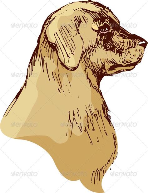 Hand Drawn Vintage Bloodhound | Cartoon dogs, Cartoon pics, Bloodhound