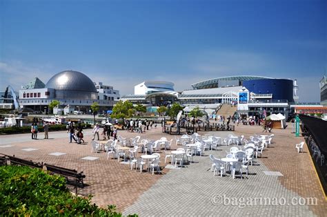 Photos | Nagoya Aquarium