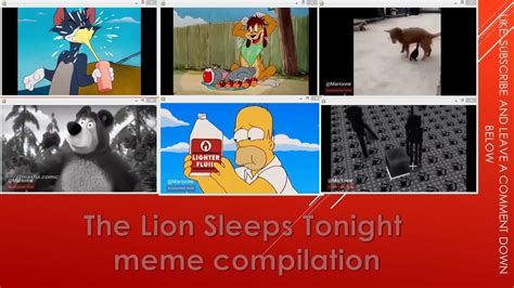 The Lion Sleeps Tonight meme compilation - YouTube