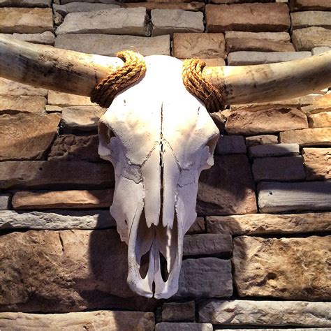 Longhorn Skull Photograph by Patricia Januszkiewicz - Pixels