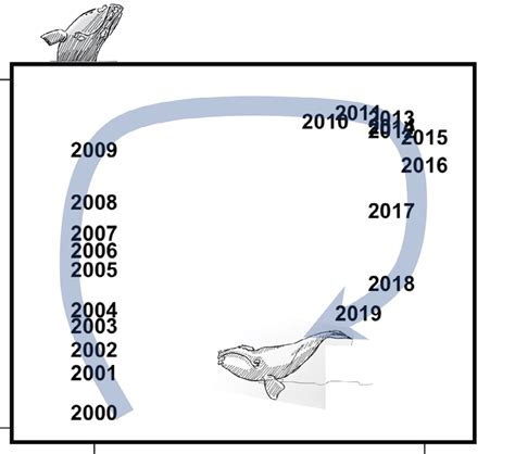 Right whale population estimate each year from 2000-2019 versus ...