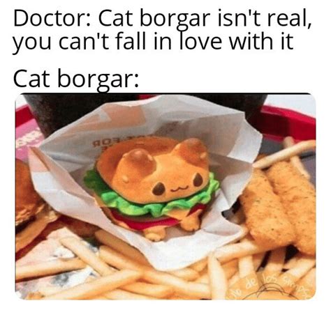 Cat borgar - I Can Has Cheezburger?