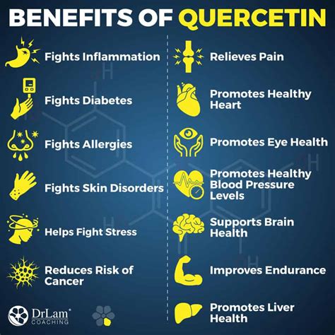 Super Q - Quercertin for Pets - SupplyPharma