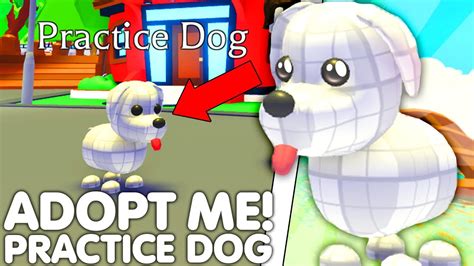 🤫HOW TO GET THE NEW PRACTICE DOG IN ADOPT ME!😱NEW SECRET PET RELEASED ...