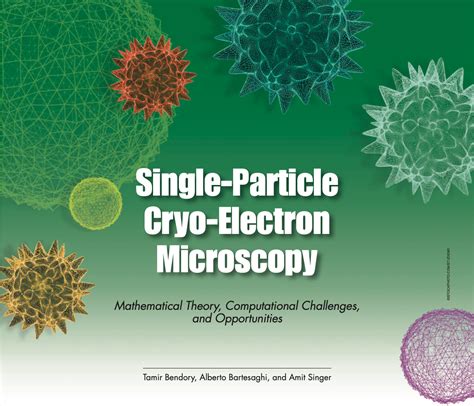 Single-Particle Cryo-Electron Microscopy – Bartesaghi Lab