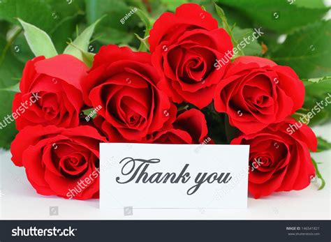 Thank You Card Red Roses Bouquet Stock Photo 146541821 | Shutterstock