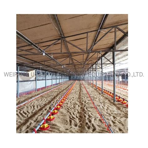 New Design Steel Prefab House Livestock Turkey Farming Equipment ...