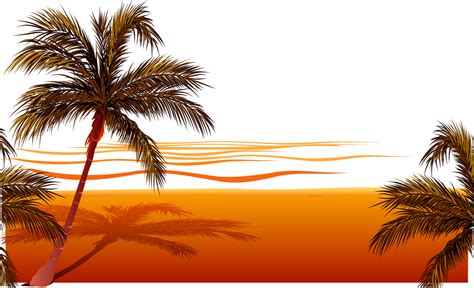 Beach Sunset Clip art - Vector beach png download - 1157*703 - Free Transparent Beach png ...