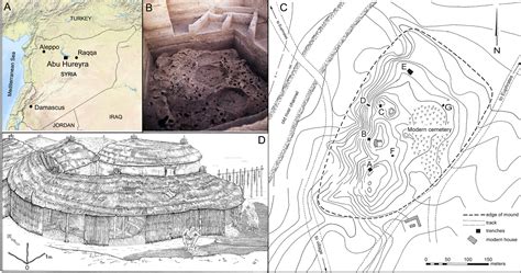 Nearly 13,000 years ago, Humans May Have Begun Caring for Animals