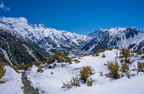 Hiking the Red Tarns Track, Mount Cook National Park | See the South ...