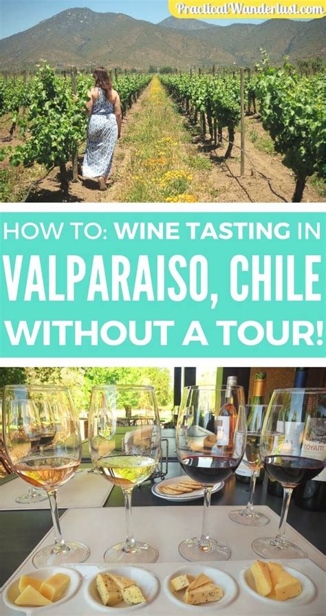 How To: Budget Friendly Wine Tasting in Valparaiso Without a Tour | Chile travel, Wine tasting ...
