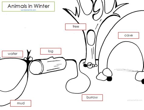 animals in winter | Words On A Limb