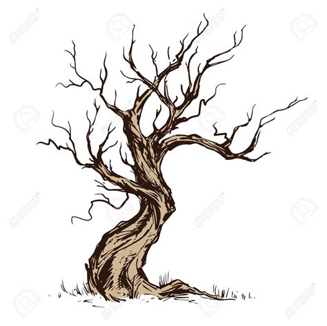 Handsketched Illustration Of Old Crooked Tree. Dry Wood, Tinder... Royalty Free Cliparts ...