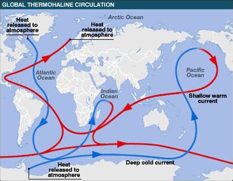 The Atlantic Conveyor Belt (Thermohaline Circulation) | SchoolWorkHelper