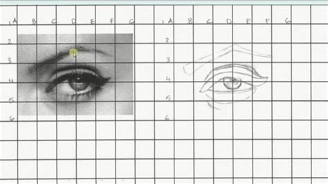 How to Draw Using the Grid Method | Drawing grid, Drawings, Portrait ...