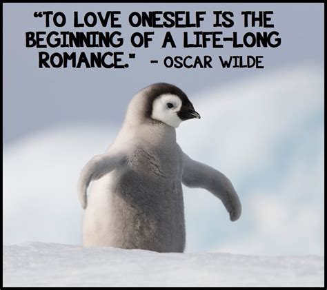 ANTI-OPPRESSIVE BABY ANIMALS | Penguin quotes, Penguin love quotes, Oscar wilde quotes