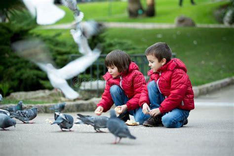 Two Cute Children, Boy Brothers, Feeding Pigeons in the Park Stock Image - Image of happy, child ...