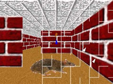 Windows 98 3D Maze screensaver - YouTube