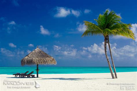 50 Photos of Paradise Beaches from the Maldives Islands | Photo Gallery