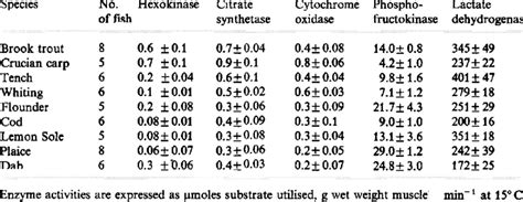 Activities of some enzymes of energy metabolism in fast-muscle fibres ...